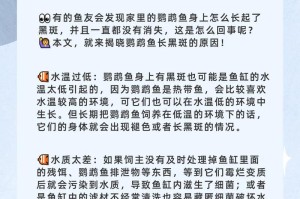 鹦鹉鱼的饲养全攻略（从选购到繁殖，助你打造一只健康快乐的鹦鹉鱼）