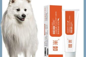 如何饲养日本尖嘴犬？（了解日本尖嘴犬的特点和饲养技巧，让你成为合格的主人）