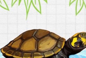 黄头侧颈龟的饲养方法（让你的黄头侧颈龟健康成长）