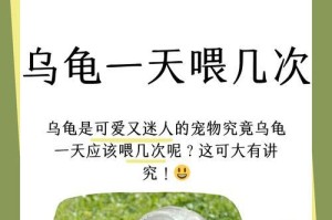 水龟换水的频率与注意事项（一只水龟需要多久换一次水？如何正确进行水龟的换水？）