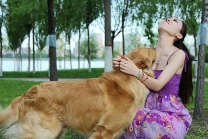 金毛为什么喜欢跳起来？（探究金毛犬跳起来的原因及喜好）