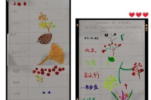 红尾蝶饲养全指南（从养殖环境到饲料选择，教你轻松打造爱蝴蝶的家园）