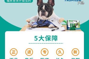 泰迪狗狗驱虫的重要性与方法（保护泰迪狗狗健康，从驱虫开始）