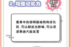 泰迪喂食的注意事项（从小到大，合理喂养你的泰迪）
