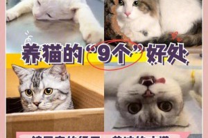 猫和狗共同适宜的食物（为什么猫和狗都能吃这些食物？）