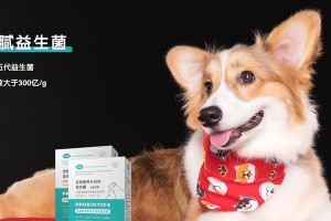 狗狗产后饮食指南（了解产后饮食的关键，助你的宠物恢复健康）