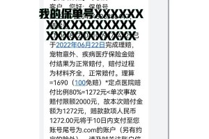 公猫绝育手术需要注意什么？（保障公猫健康，正确进行绝育手术）