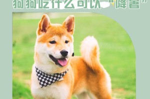 不满月的狗狗应该吃什么？（了解适合不满月狗狗的饮食需求和营养摄入）
