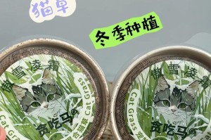 猫咪是否都要吃猫草？（猫草的过量食用对猫并不好）