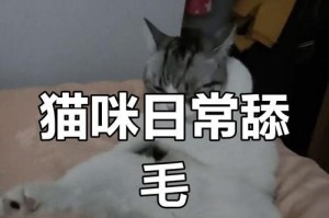 猫为什么会舔自己的毛？（探究猫咪舔毛的原因和益处）