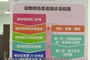 动物咬伤后的疫苗注射时机及处理方法（保护自己健康，应知动物咬伤后的处理和预防措施）