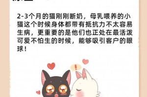 小猫断奶时间及喂养注意事项（了解小猫断奶时间，让它们健康成长）