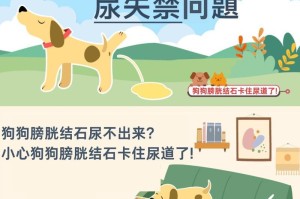 公泰迪尿血是否严重？（了解公泰迪尿血的原因、症状及治疗方法）