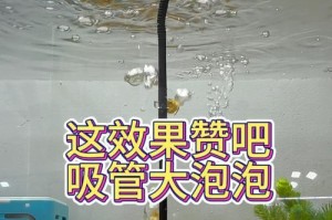 以地图鱼为主题的水质研究（探索地图鱼适宜的水质条件，为其养殖提供基础支持）