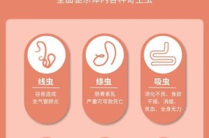 宠物医生告诉你如何治疗和预防常见寄生虫（掌握这6种方法，让你的猫狗远离寄生虫困扰）