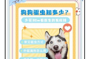 幼犬驱虫攻略（如何帮幼犬驱虫？新手快来收藏这份详细指南！）