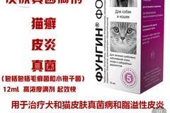猫癣传染给人后的治疗方法（以人染上猫癣该用哪些药物进行治疗？）