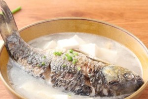 黄鳍鲳的主要食物及其营养需求（探究黄鳍鲳的饮食习性及其对生态系统的影响）