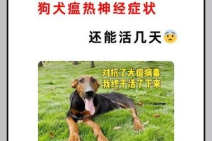 犬瘟热——了解这种可怕疾病的症状与预防方法（犬瘟热的主要症状及如何保护你的爱犬免受感染）