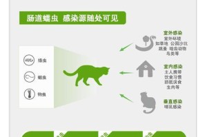 如何正确驱虫，保护宠物狗狗的健康（宠物狗狗驱虫的注意事项和方法）