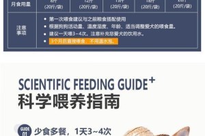 合理的喂养时间安排对泰迪的健康至关重要（以泰迪晚上什么时间喂狗粮为例，探讨最佳喂养时间）