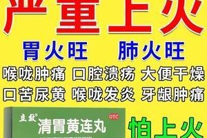银龙肠炎的药物治疗方法（探索有效治疗银龙肠炎的关键药物及其作用机制）