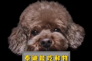 泰迪吃多了会有什么反应？（探讨泰迪犬过食引起的身体反应和健康问题）