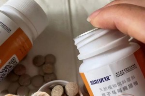养狗经验分享（保护你的爱犬免受寄生虫和疾病侵害）