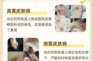 哪种犬最容易患皮肤病？（探究导致犬只皮肤病的关键因素）