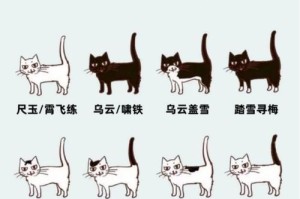 猫的疾病与压力（揭示猫的健康秘密，关注疾病与心理因素的关联）