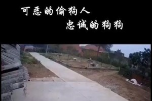 狗狗喷药中毒的原因、症状和应急处理方法（急救！如何保护你的爱犬不被喷药中毒？）