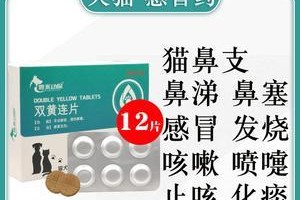 小狗止咳的有效方法（以什么方法帮助小狗战胜咳嗽？）