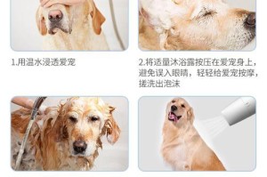 如何为哈士奇幼犬洗澡？（选择合适的洗澡产品保护哈士奇的皮肤健康）