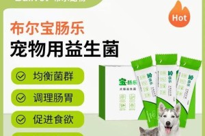 宠物狗的肠胃调理指南（通过正确饮食和药物保护狗狗的肠胃健康）