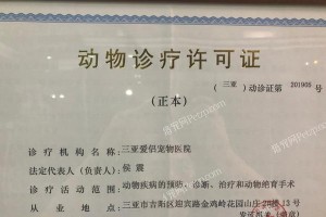 宠物医院证件的重要性（了解宠物医院证件，保障宠物健康）