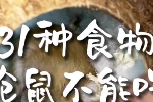 仓鼠的饮食习惯（仓鼠的饮食习惯与健康饲养关系密切）