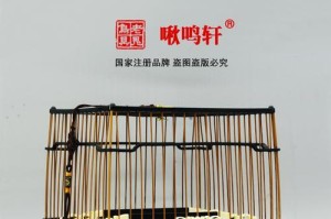 南京绣眼——中国传统绣艺的瑰宝（细腻繁复，精雕细琢的南京绣眼艺术）