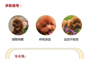 泰迪狗的饮食禁忌——宠物主人需知（揭秘泰迪狗最怕吃的15种食物，让你的宠物健康成长）