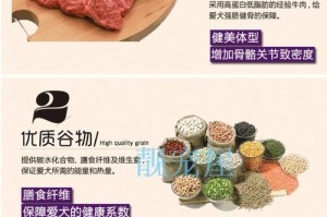 贵宾犬的合理饮食（掌握贵宾犬的食量，健康饮食更重要）