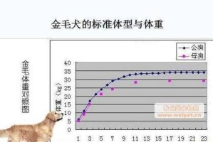 狗狗体重标准（狗狗标准体重表及饮食管理）