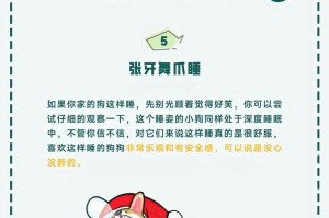 狗狗的睡姿代表什么？（揭秘狗狗睡姿的心理密码）