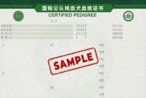 狗狗血统证的作用及重要性（揭秘狗狗血统证的实用价值和意义）