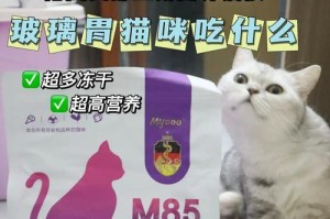 猫咪拉稀的原因及适合解决拉稀问题的猫粮（了解拉稀原因，选择适合猫咪的猫粮，助力健康消化）
