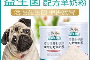 以巴哥犬的益生菌摄入是否可长期进行？（宠物的营养需求和健康状况受到关注）