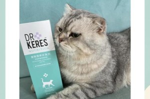 猫的营养膏（了解猫咪营养膏的最佳喂养频率）