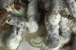 狗狗便便有白色虫子，如何预防和治疗（探究狗狗便便中白色虫子的成因及防治方法）