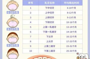 如何护理凯利蓝梗的牙齿（宠物的健康需要我们的关注，教你如何呵护凯利蓝梗的口腔）