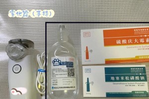 猫咪感冒的治疗方法及费用一览（了解猫咪感冒的常见症状及预防措施）