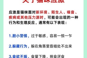 猫为何喜欢躲角落？（探究猫咪寻找安全感的本能行为）