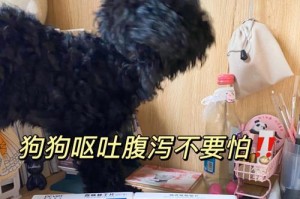 狗狗吃多了呕吐怎么办？（狗吃多了吐了处理方法）（宠物狗食欲旺盛导致的呕吐，该如何应对？）